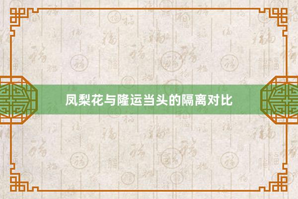 凤梨花与隆运当头的隔离对比